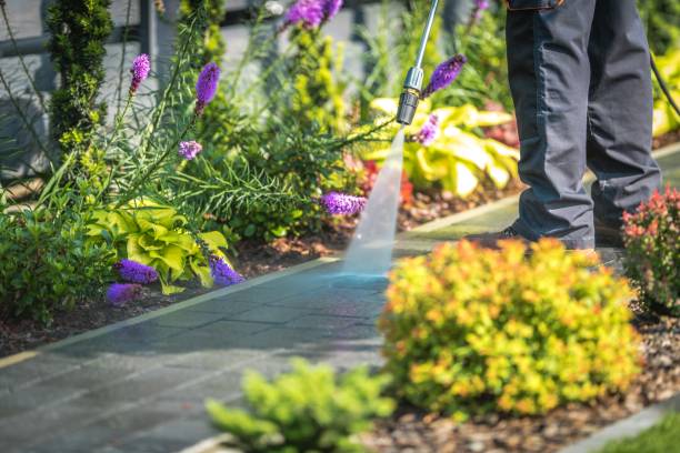 Best Dumpster Area Cleaning  in Weston, MO